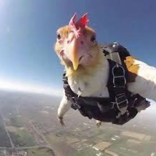 Profile picture of user Mavlonbek Muxtorjonov