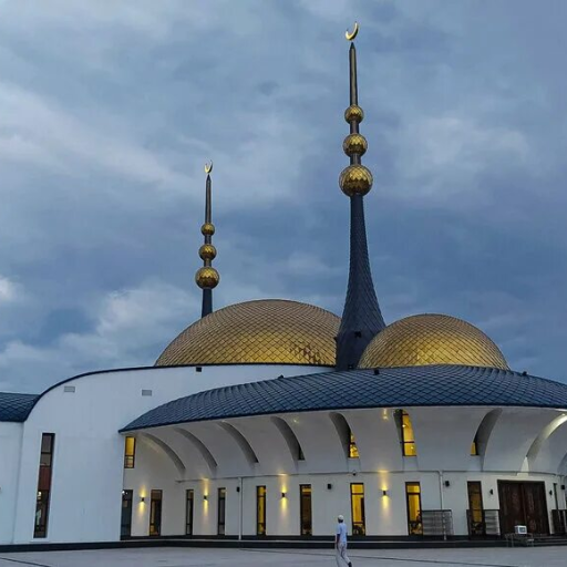 Profile picture of user KASSAK