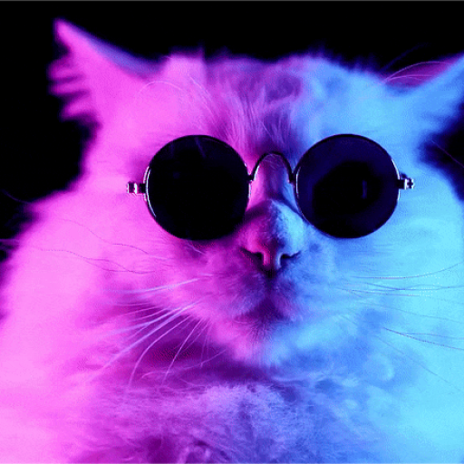 Profile picture of user Bekzod