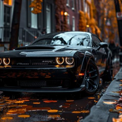 Profile picture of user shokirov Parviz