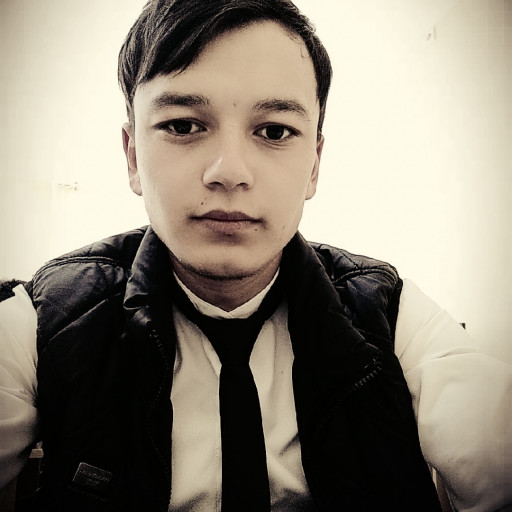 Profile picture of user Oʻtkirbek G'aniyev