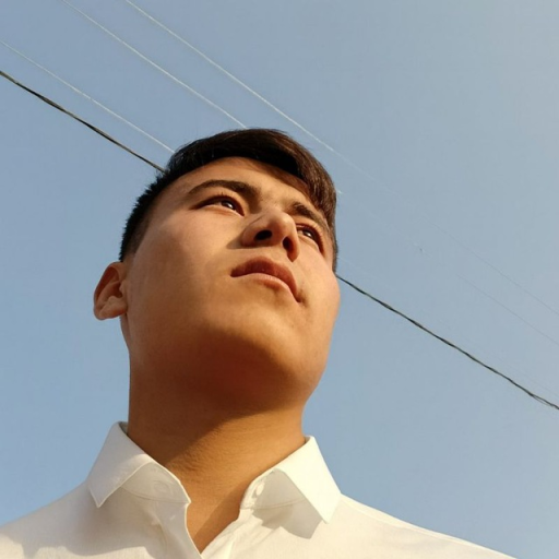 Profile picture of user Behruz Toshpulatov