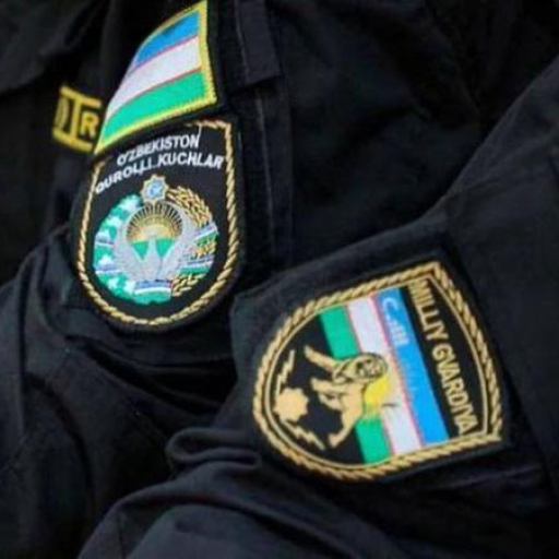 Profile picture of user Aslbek Akramboyev