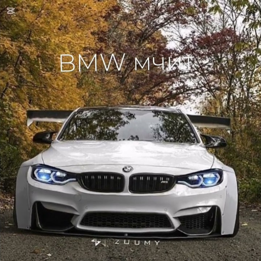 Profile picture of user Qushvaqtov Shohjaon