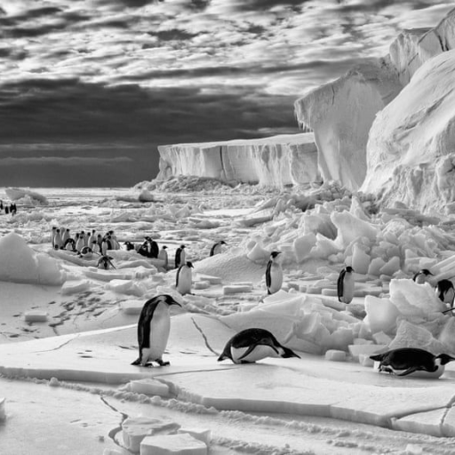 Profile picture of user Nurbek