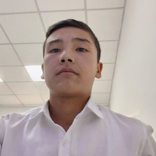 Profile picture of user Diyorbek Sindarov