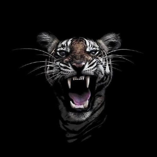 Profile picture of user Sadriddinov Jahongir