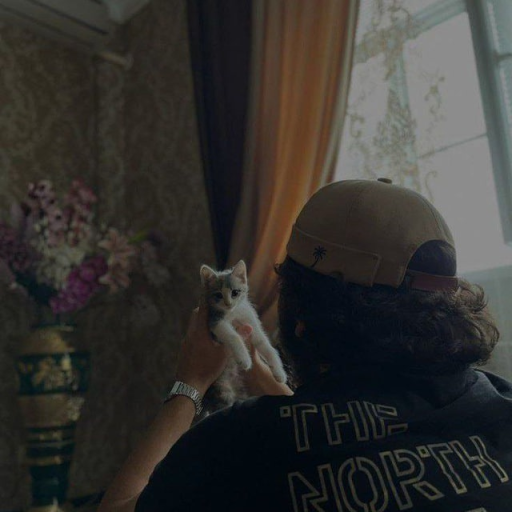 Profile picture of user Temirxonov Xusanxon