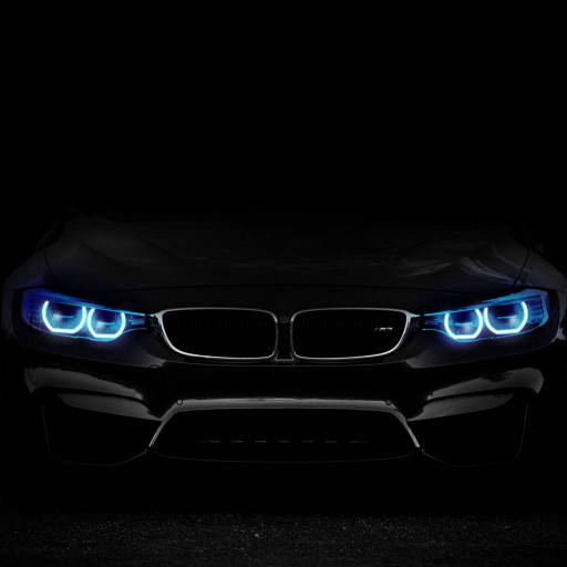 Profile picture of user BIG_BOYS