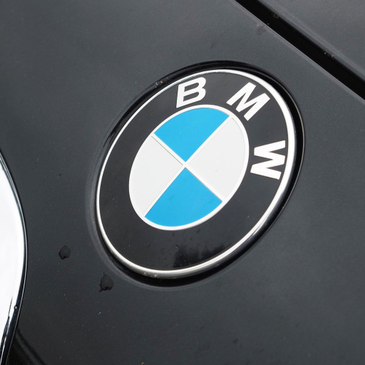 Profile picture of user zarina Maksatboyeva