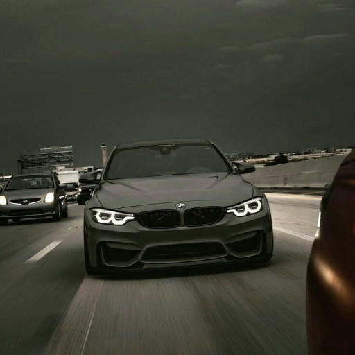 Profile picture of user Axtamov Navro'z