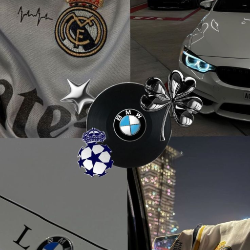 Profile picture of user Qodirjonova Robiya