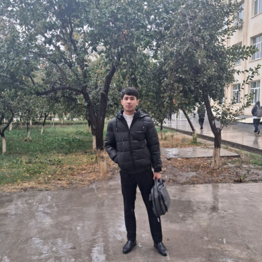 Profile picture of user Sherzod Ochilov