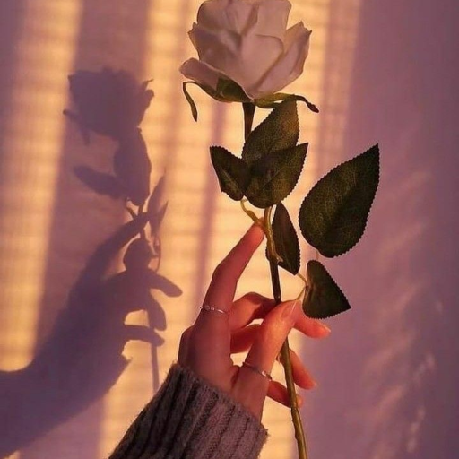 Profile picture of user ...