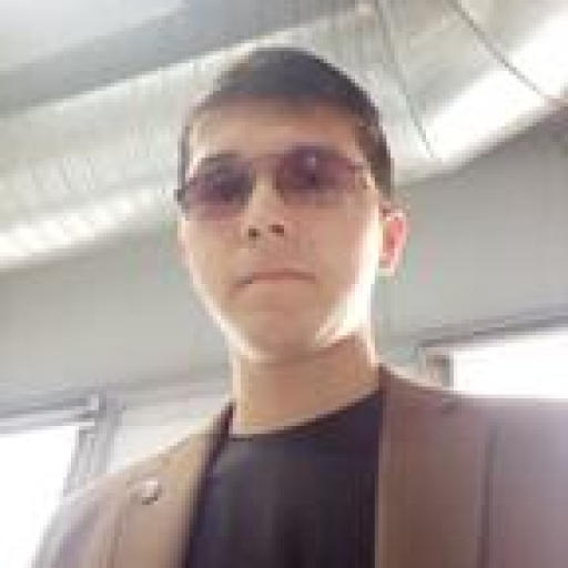 Profile picture of user Alisherov Ulug'bek