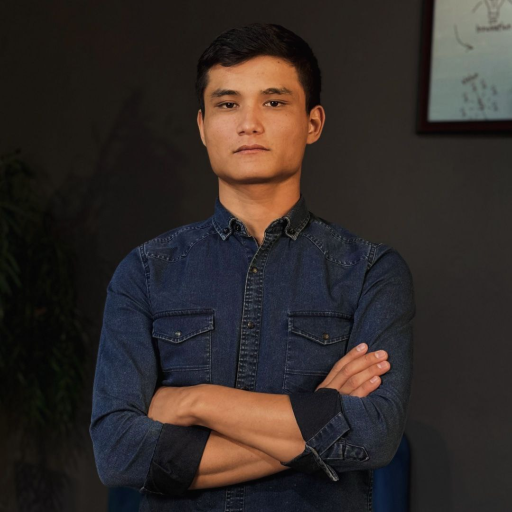 Profile picture of user Darmenbay Allambergenov