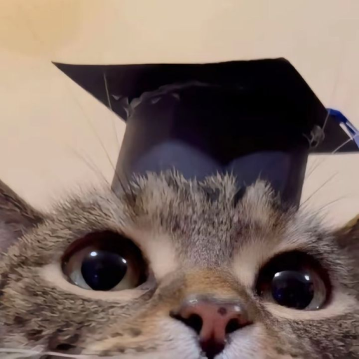 Profile picture of user Dilzoda Rakhmatullayeva