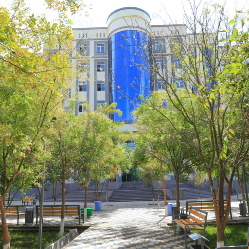 Profile picture of user Muhammdali ismoilov