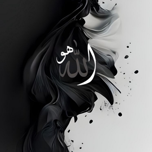 Profile picture of user muhamadimin