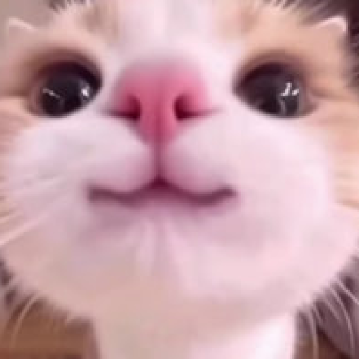 Profile picture of user Yaxyo Egamnazarov