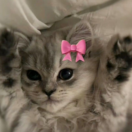 Profile picture of user Qodirqulova Yasmina