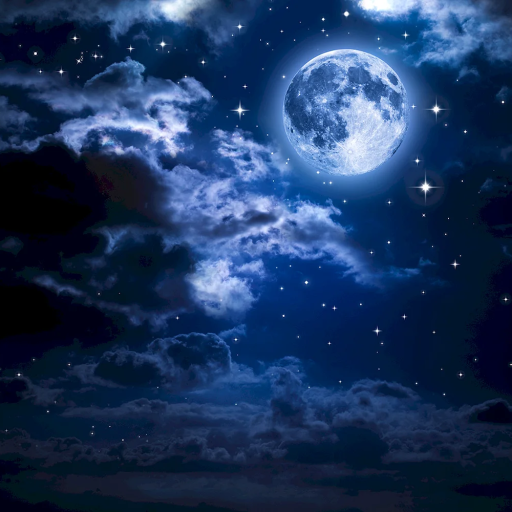 Profile picture of user Zarnigor Shuhratova