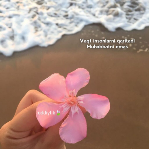 Profile picture of user EZOZIWCA