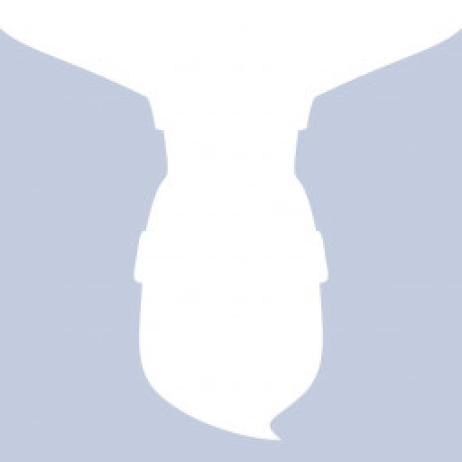 Profile picture of user Mirabror Mamarasulov