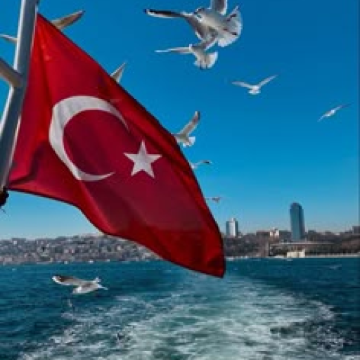 Profile picture of user Hakimova Halima