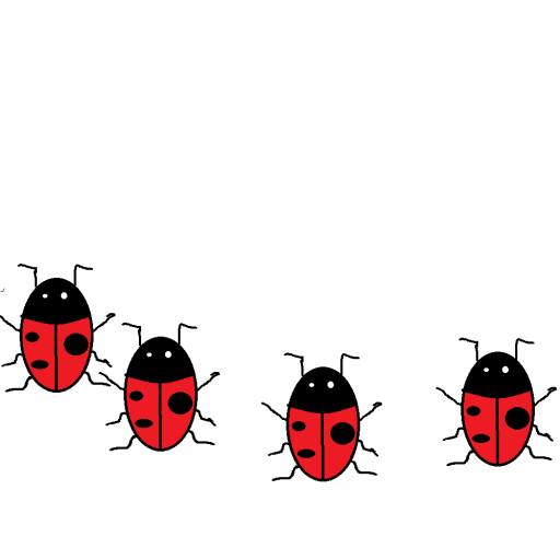 Profile picture of user Nurbek Narmetov