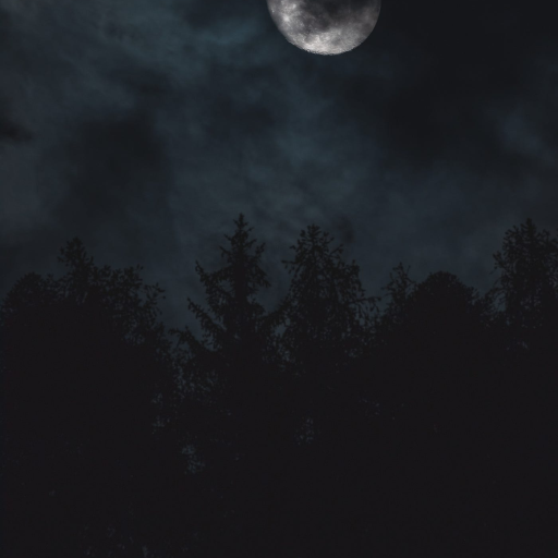 Profile picture of user Nurbek