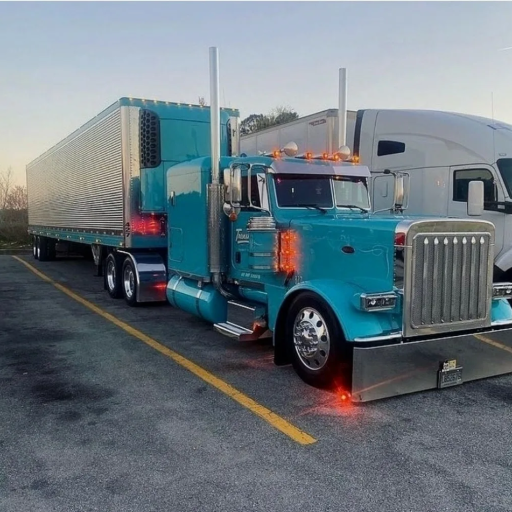 Profile picture of user king_IMI