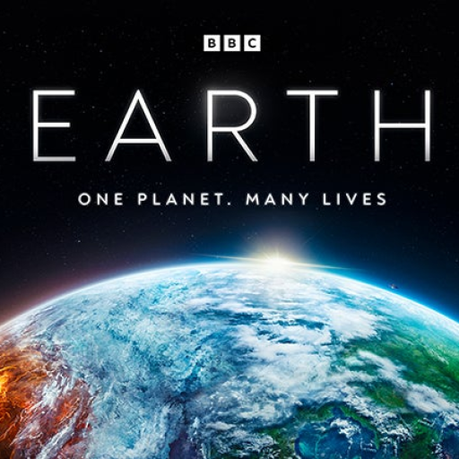 Profile picture of user Esonmurodov Asadbek