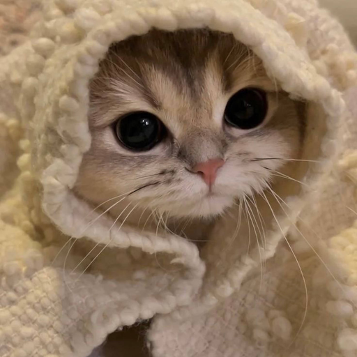 Profile picture of user Xudoyberdiyeva Durdona