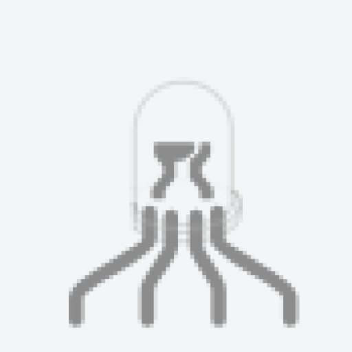 Profile picture of user SardorEmasMan