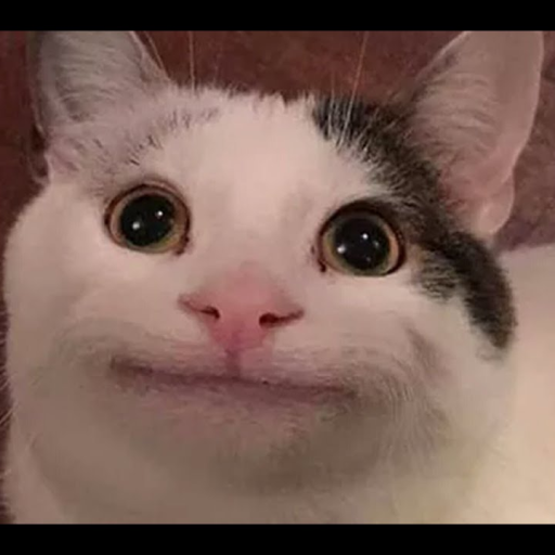 Profile picture of user Muhammadamin