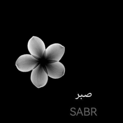 Profile picture of user Shukirillaeva Gulmarjan