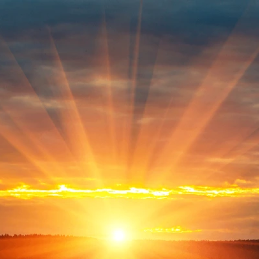 Profile picture of user Muhammadziyo