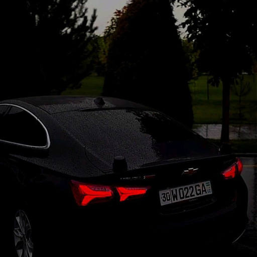 Profile picture of user Nasibbek Tirkashov