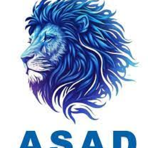 Profile picture of user ASADBEK