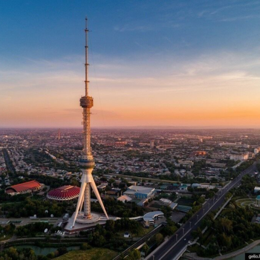 Profile picture of user muhammad