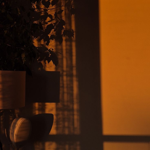 Profile picture of user tohirjonova soliha