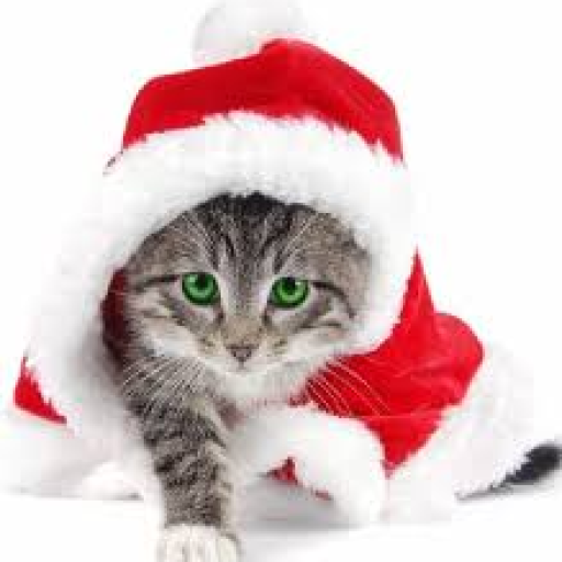 Profile picture of user ko`hinur