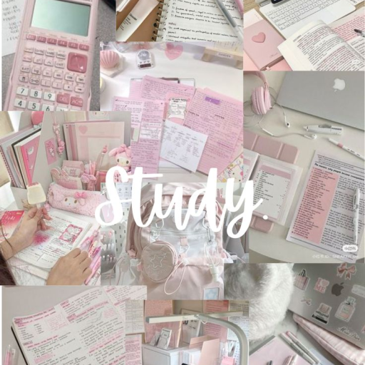 Profile picture of user MAMADIYOROVA DILNURA