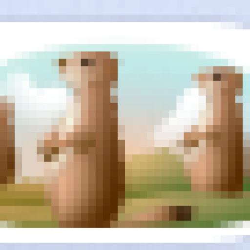 Profile picture of user GEY