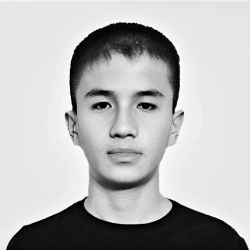 Profile picture of user Sanjar Sunnetbayev