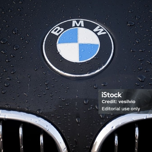 Profile picture of user alibek mavliddinov