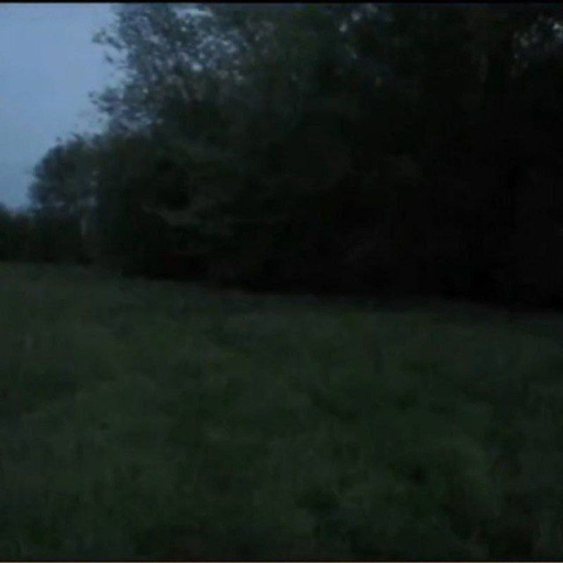 Profile picture of user Fayzullo Adhamov