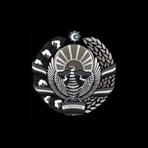 Profile picture of user ulmas tursunov