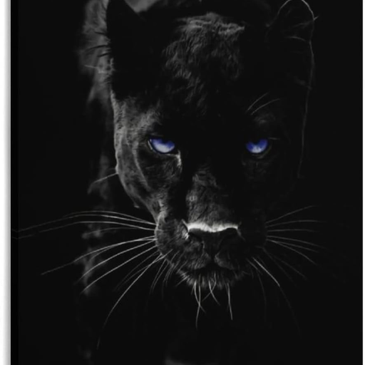 Profile picture of user Saloyiddinov Sarvar